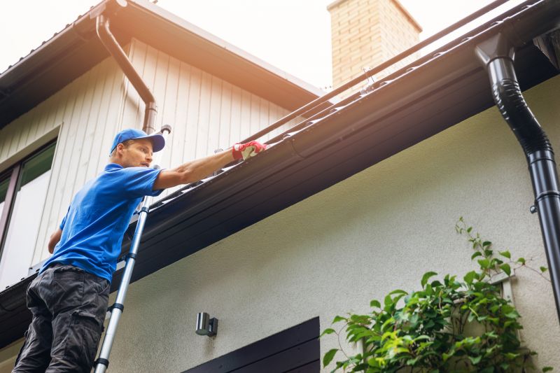 Cleaning and Maintenance of Gutters