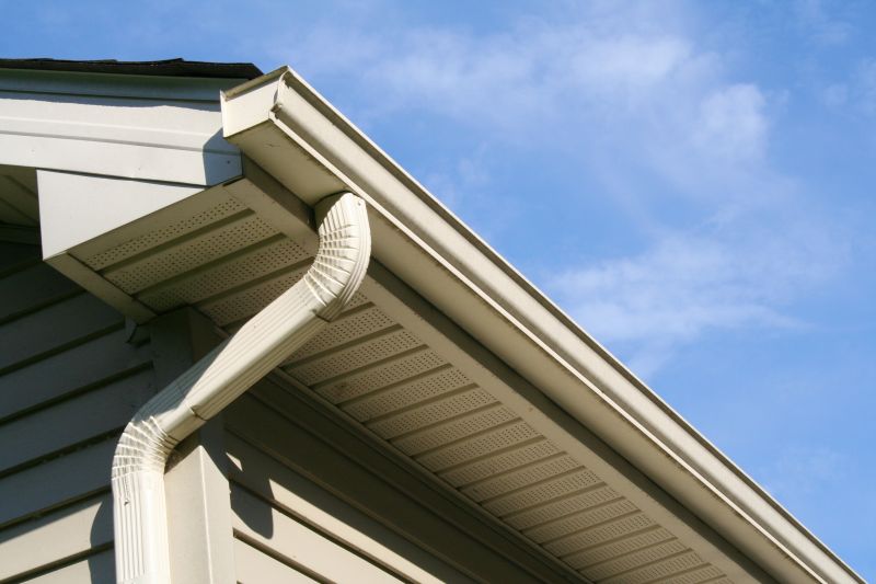 Gutter Installation on a Home